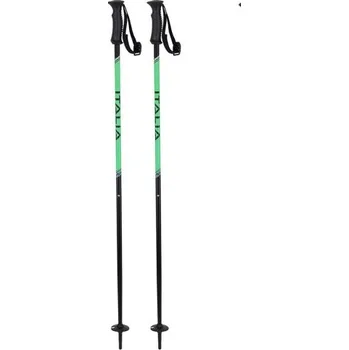 Sjezdové lyžování Dětské sjezdové hole Italbastoni ITAL green vel. 90cm