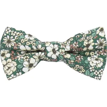 Motýlek Bubibubi Zelený dětský motýlek Botani