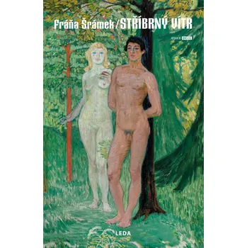 Kniha Stříbrný vítr