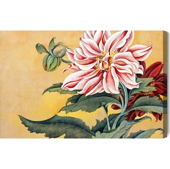 Obraz Obraz Na Plátně Pivoňky s listy 40x30