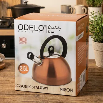 Konvice na čaj Nerezová konvice ODELO PRESTIGE LINE MIRON 2,5 l šedá