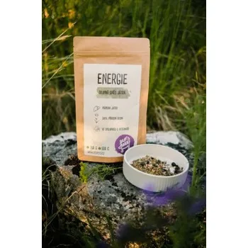 Ecopets Energie (bylinná směs pro játra) 100 g Ecopets EP470