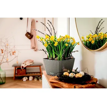 Květináč LECHUZA Bacino pískově hnědá (kompletní set)