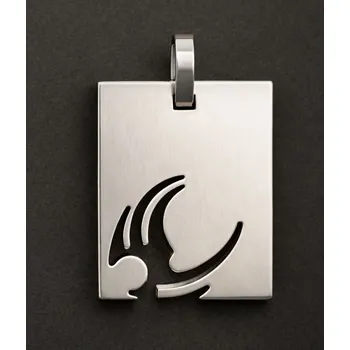 Přívěsek Dravý pták na destičce - ocelový přívěsek