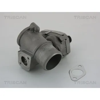 Ventil palivového systému AGR-Ventil TRISCAN 8813 16101