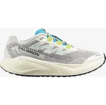 SALOMON Pánské běžecké gravelové boty Aero Braze 3 Grvl 47 1/3