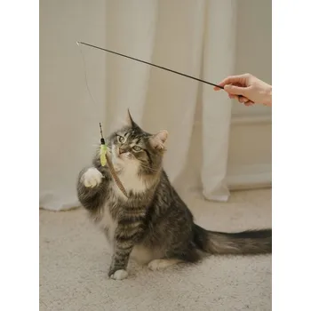 Hračka pro kočku Sinsay - Hračka pro kočku - černá - 812HL-99X - 812HL-99X-ONE