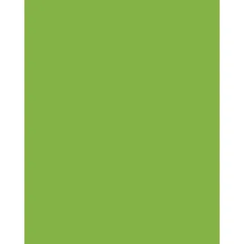 OSB deska L 7190 BS mamba 2800*2070*18