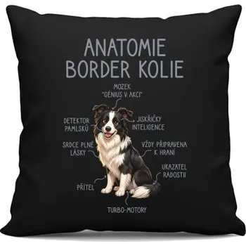 Žertovný předmět Anatomie border kolie - černý polštář s potiskem- Tričkový.cz