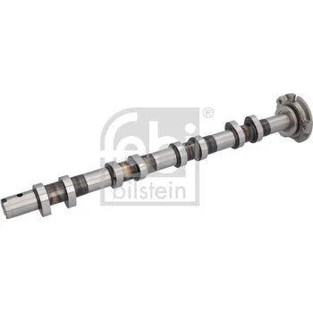 Motor automobilu Vačkový hřídel FEBI BILSTEIN 1002220