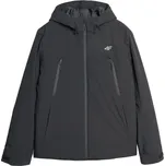 Pánská zimní bunda 4F TECHNICAL JACKET M Černá, Stříbrná