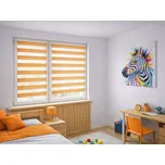 ZEBRA-SHOP Roleta DEN A NOC / MINI / STANDARD / oranžová / BH 1207 Barva mechanizmu: šedá, Výška: 150, Šířka: 30