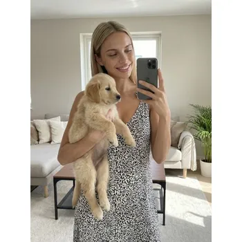 Oblečení a móda Sinsay - Viskózové mini šaty s leopardím vzorem - vícebarevná - 516DA-MLC - 516DA-MLC-XS