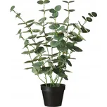 IB Laursen Umělý eukalyptus v květináči…