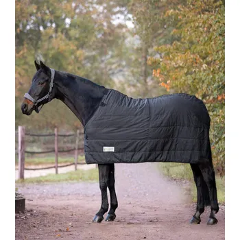 Deka pro koně Zateplená deka Waldhausen Economic Thermal 200g 135 cm