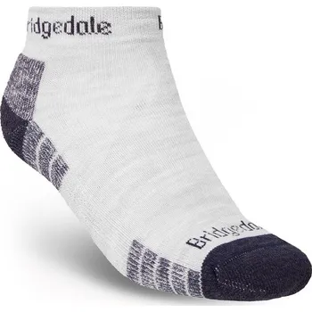 Pánské ponožky Pánské ponožky Hike Lightweight Performance Ankle Silver/Navy 48+