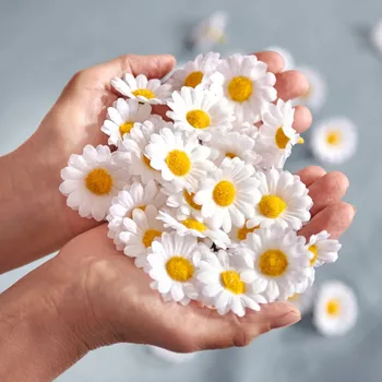 50 květin Markéty žlutá/bílá Každý 2 x 4 cm.