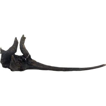 Dekorace do akvária Light Wood M (ID Z03526)