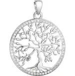 EVOLUTION GROUP 14025.1 crystal zircon AG přívěsek (AG 925/1000; 2 g)