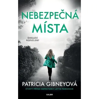Nebezpečná místa - Patricia Gibneyová