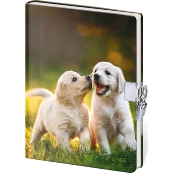 Zápisník Památník 13 x 18 cm se zámkem - Fun