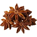 Herbi Badyán celý, 25 g