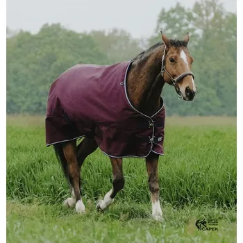 Deka pro koně Deka výběhová EquiTheme -TYREX 1200D 0G- - Vínová - 145cm