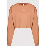 Reebok - Pánské dlouhý rukáv CL WDE