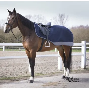 Deka pro koně Bederní deka Equi-Theme -TYREX 600D LIGHT- - Modrá/Šedá - 140cm