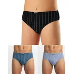 Andrie PS 3586 L 3ks pánské slipy