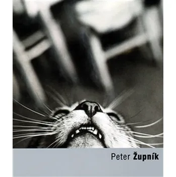 Umění Peter Župník