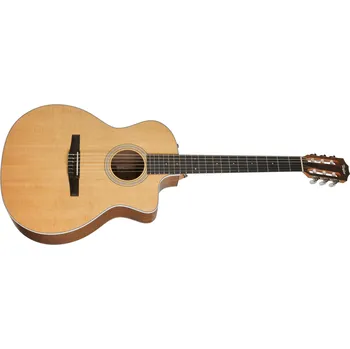 Strunný nástroj Taylor 214ce-N + prodloužená záruka 3 roky