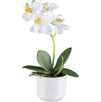 umělá květina Gasper Umělá orchidej v kvetináči, 27 cm, bílá 490742