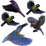 Gardigo Stickers Native Birds nálepka do okna s obrazem ptáka Druh funkce odstrašení 1 ks