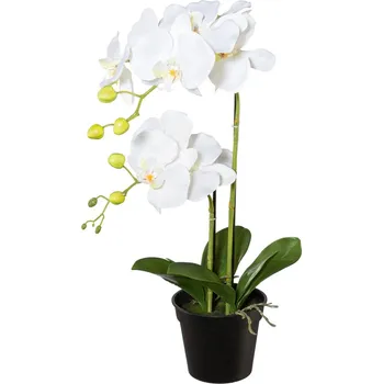umělá květina Orchidej v květináči, 55 cm, bílá 490588