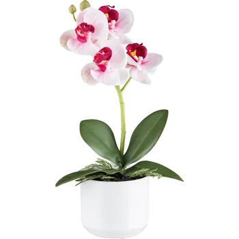 umělá květina Gasper Umělá orchidej v květináči, 27 cm, růžová 490741