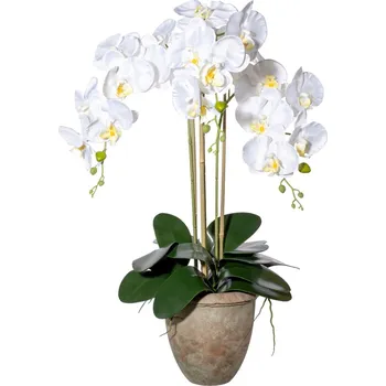 umělá květina Gasper Umělá orchidej Phalaenopsis, bílá 497813