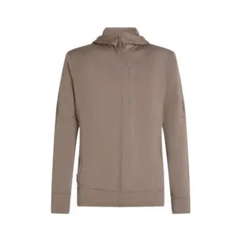 Pánská mikina Icebreaker Merino 260 Quantum IV LS Zip Hoodie Men PORCINI hnědá XL