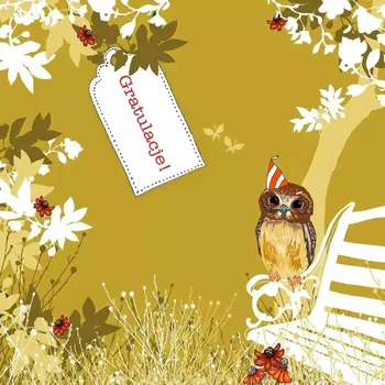 Obraz Přání Swarovski čtverec CL3410 Gratulace! Sova