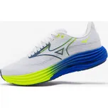 MIZUNO Pánské běžecké boty Wave Rider 29 47
