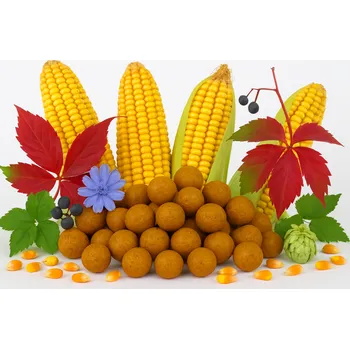 Boilies Boilies - MLÉČNÁ KUKUŘICE - Ø 24 mm 5 kg