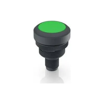 RAFI RAMO 22 T, 1.10.011.001/0551 tlačítko, 22.3 mm, 35 V/DC, 0.1 A, 1 ks