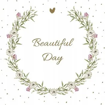 Papírový ubrousek Papírové ubrousky Pol-Mak bílé 33x33 cm 20 ks