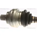 POLOOSA 8540 295063 TRISCAN CUPRA VW BORN (K11)