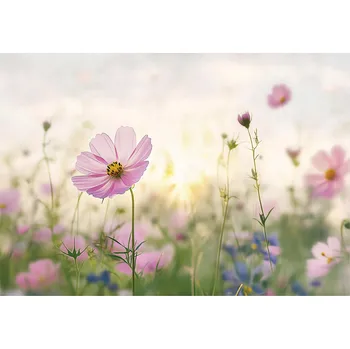 Fototapeta FOTOTAPETA KVĚTY LUČNÍ PŘÍRODA LOŽNICE OBÝVACÍ POKOJ TAPETA VLIESOVÁ 350x250