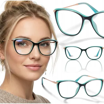 Brýle na čtení BRÝLE NA ČTENÍ KOREKČNÍ +2 S POUZDRO NA BRÝLE Brilo RE008-A/200