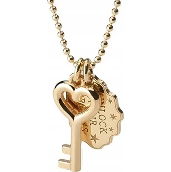 Náhrdelník Náhrdelník klíček, Zlatý 925 Dárek GIORRE