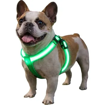 Obojek pro psa Reedog svíticí kšíry pro psy a kočky - Modrá - L