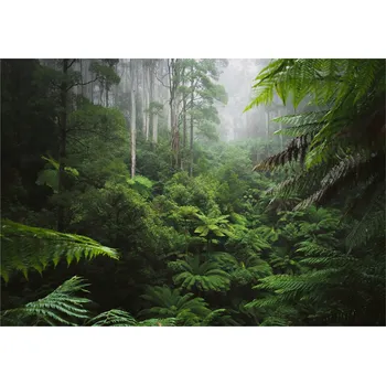 Fototapeta FOTOTAPETA TROPICKÝ LES DŽUNGLE LISTY DO OBÝVÁKU LOŽNICE TAPETA 300x210