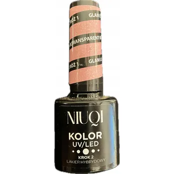 Lak na nehty HYBRIDNÍ LAK 5ml NIUQI glam look růžová 1 BROKÁT